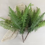 Cây giả dương xỉ hoàng đế